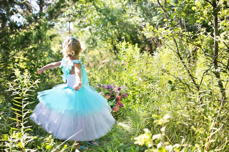 Princess Dress